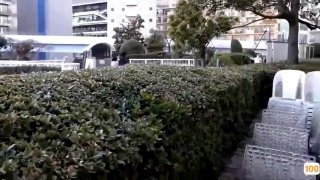 苏州舞厅极品兼职